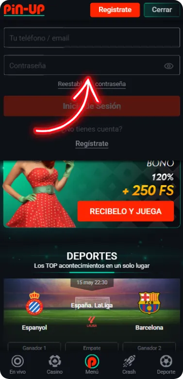 Accede a tu perfil PinUp