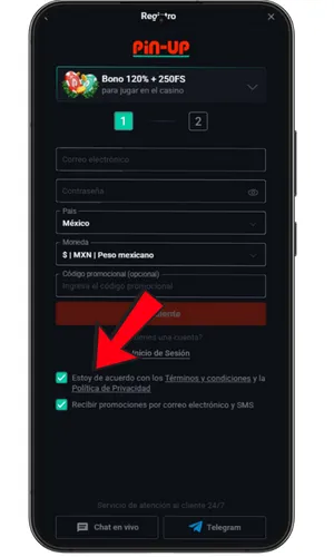 Aceptar términos y condiciones en Pin-Up