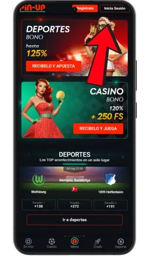 Botón de inicio de sesión en Pin-Up Casino
